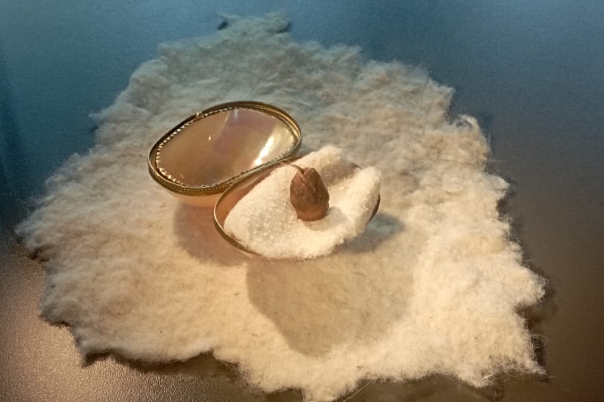 WhatsApp-Image-2026-02-27-at-20.14.203