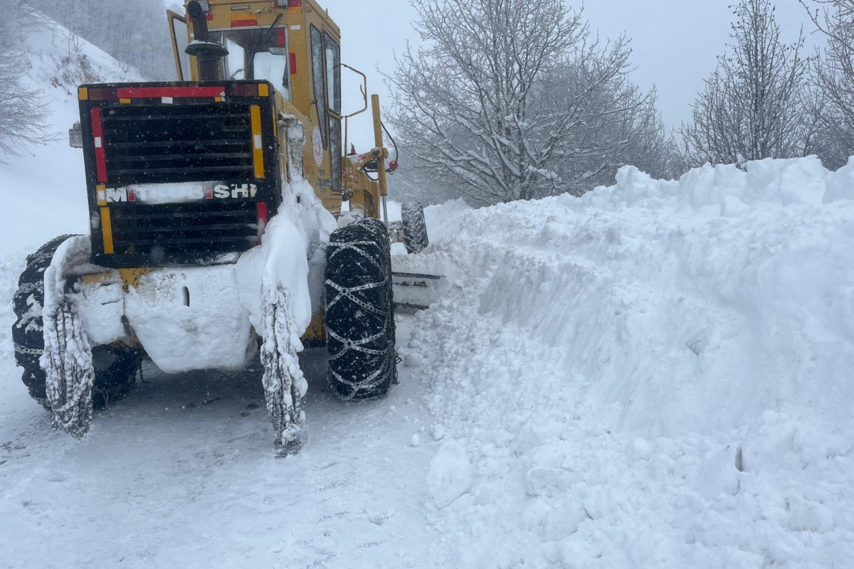 WhatsApp-Image-2026-02-28-at-15.03.322