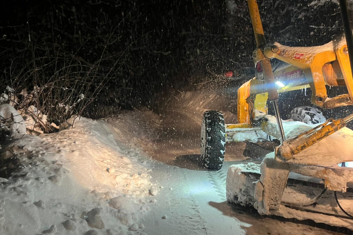 WhatsApp-Image-2026-02-28-at-15.03.326